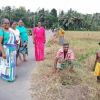 "Samrudhi Green Color Aswedduma Matrubhumi" National Plantation Day Environment Program / Homagama (Kirigampamunwa) (2022-09-28)